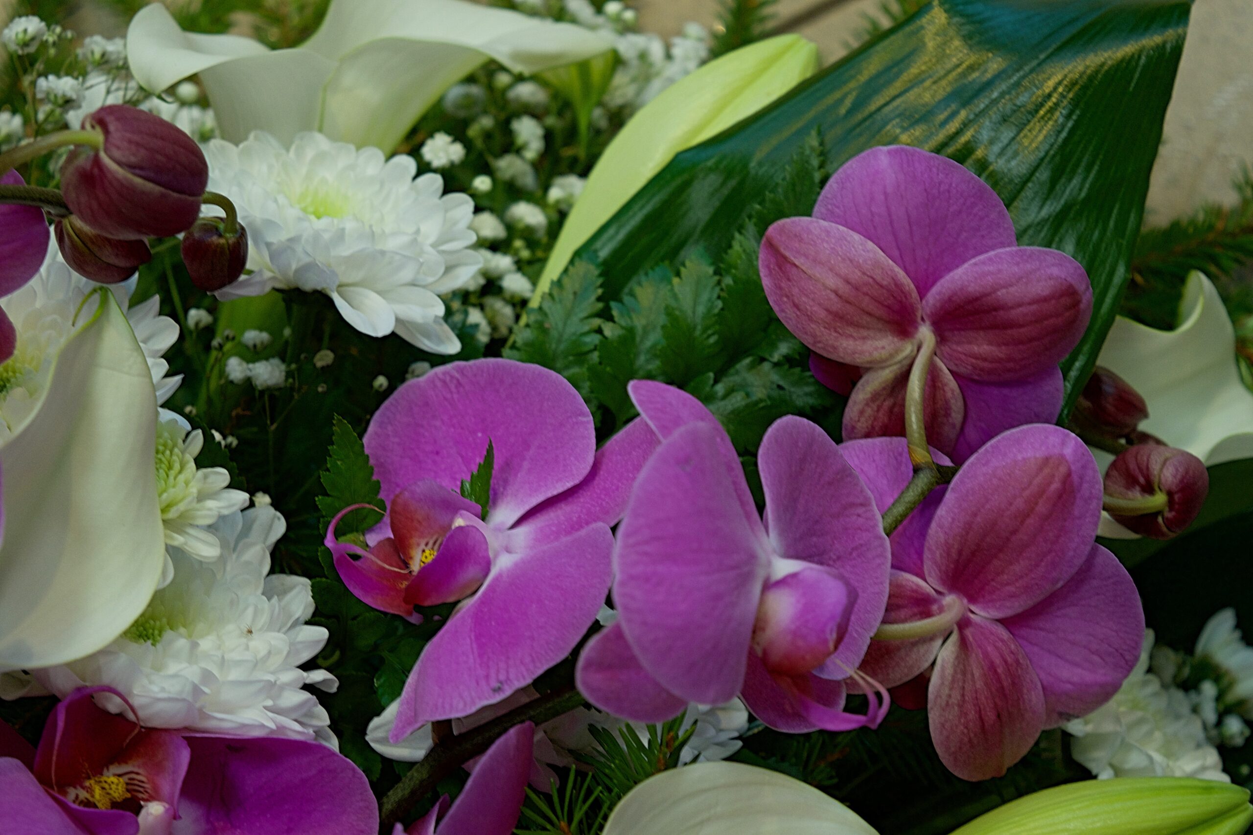 floristjakobson