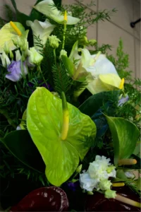 floristjakobson