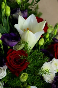 floristjakobson