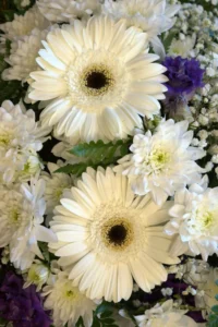 floristjakobson